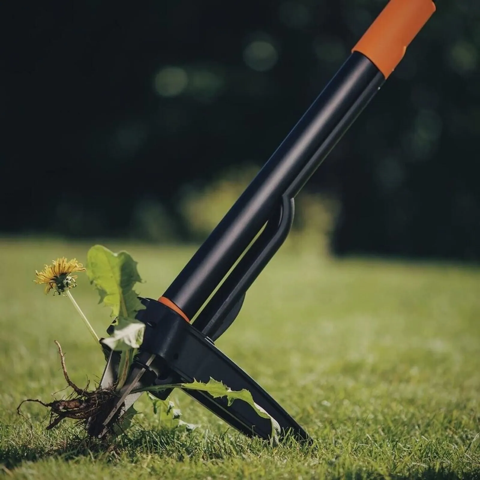 Fiskars Unkrautstecher Xact, ergonomisches Design, rostfreier Stahl, umweltfreundlich 4