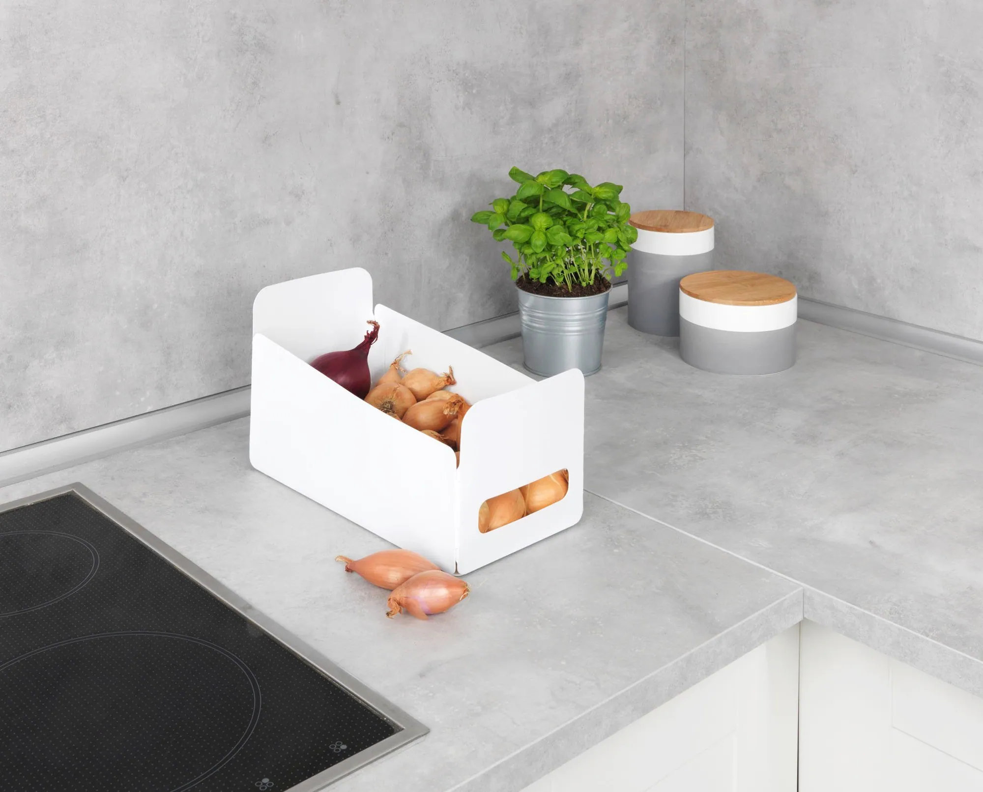 WENKO Organizer Universal Set, faltbare Aufbewahrungsboxen für Küche und Haushalt — Platzsparend, vielseitig, aus Kunststoff 3