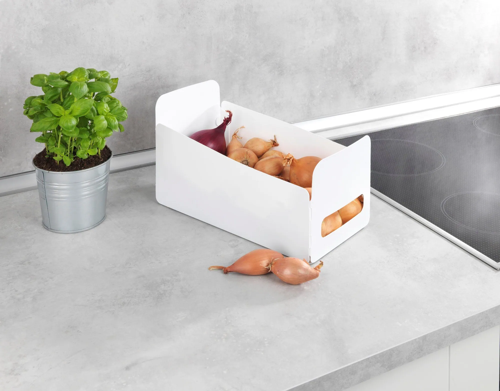 WENKO Organizer Universal Set, faltbare Aufbewahrungsboxen für Küche und Haushalt — Platzsparend, vielseitig, aus Kunststoff 5